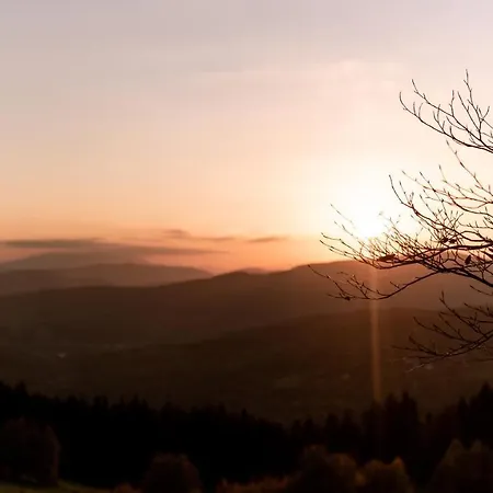 Reset Kudlacze * Pcim