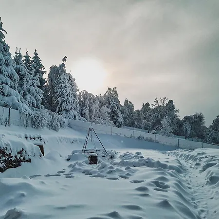 Reset Kudlacze シャレー *