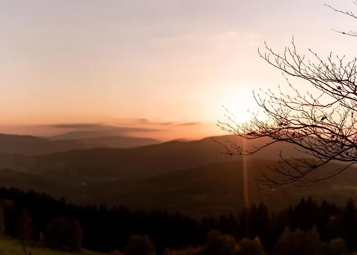 Reset Kudlacze * Pcim