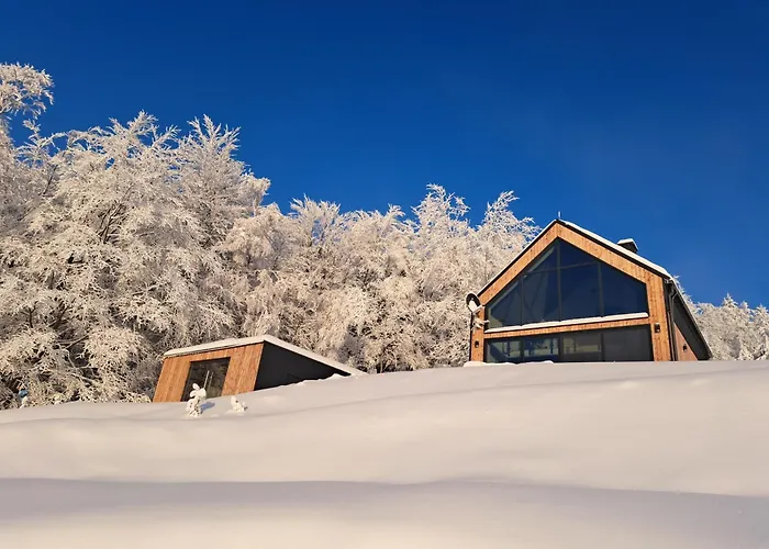 Chalet Reset Kudlacze *